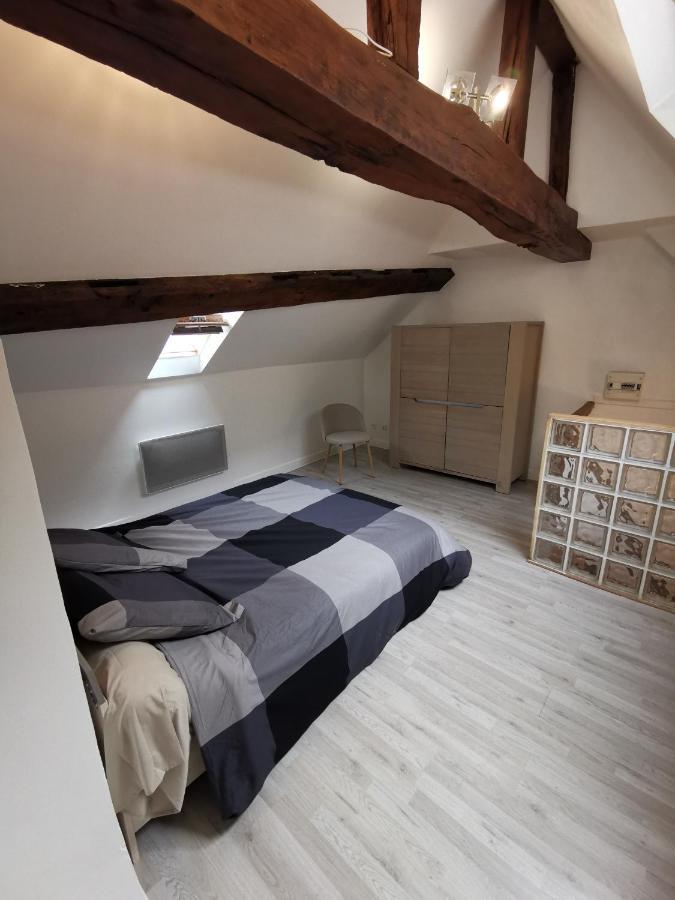 Appartement Hyper Centre Au Bord De Loire Orléans Buitenkant foto